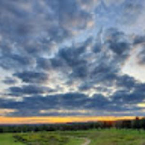 Meet your Posher, Joy